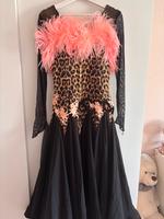 Standard Kleid C + B Klasse Brandenburg - Brück Vorschau