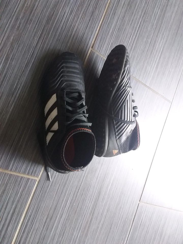 Sportschuhe Fußballschuhe 36,5 Adidas Predator in Schildow