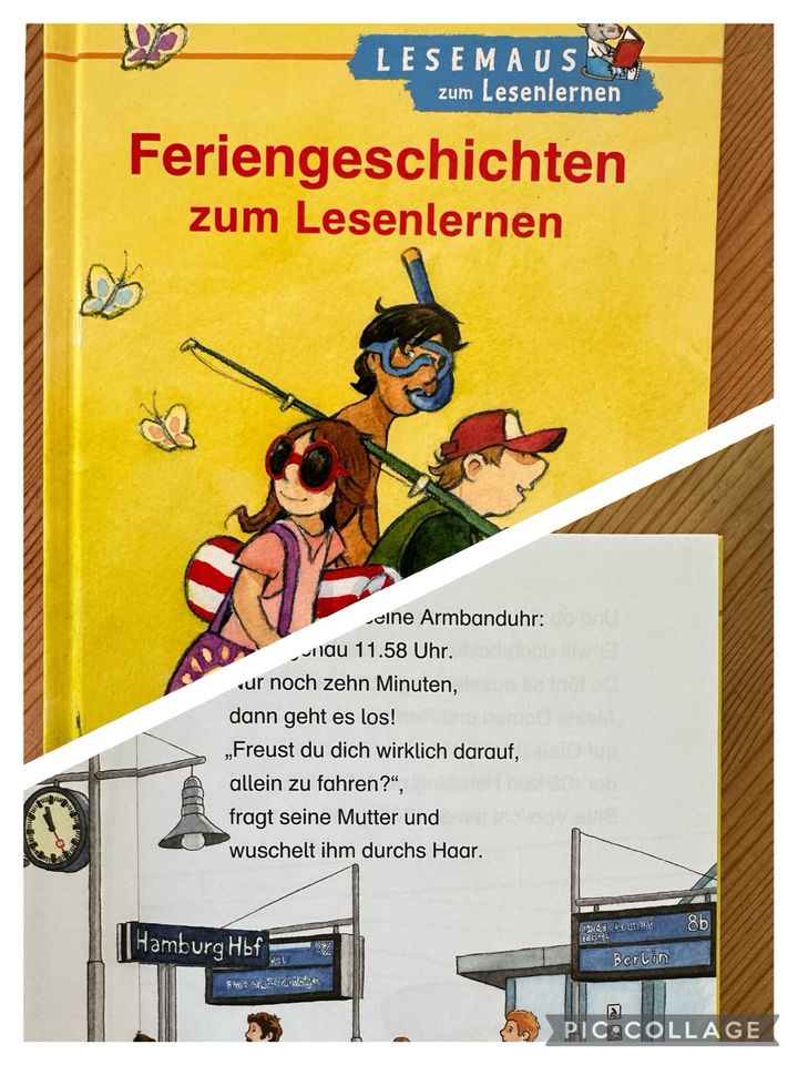 Verschiedene Bücher für Erstleser in Sandhausen