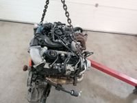 MOTOR AUDI A4 A6 BPP 2.7 TDI KOMPLETT Nordrhein-Westfalen - Ratingen Vorschau