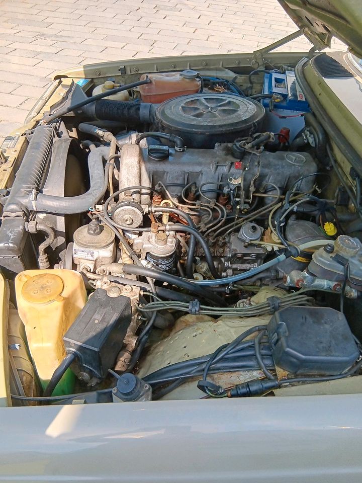 Mercedes 123er 300T turbodiesel in Leun