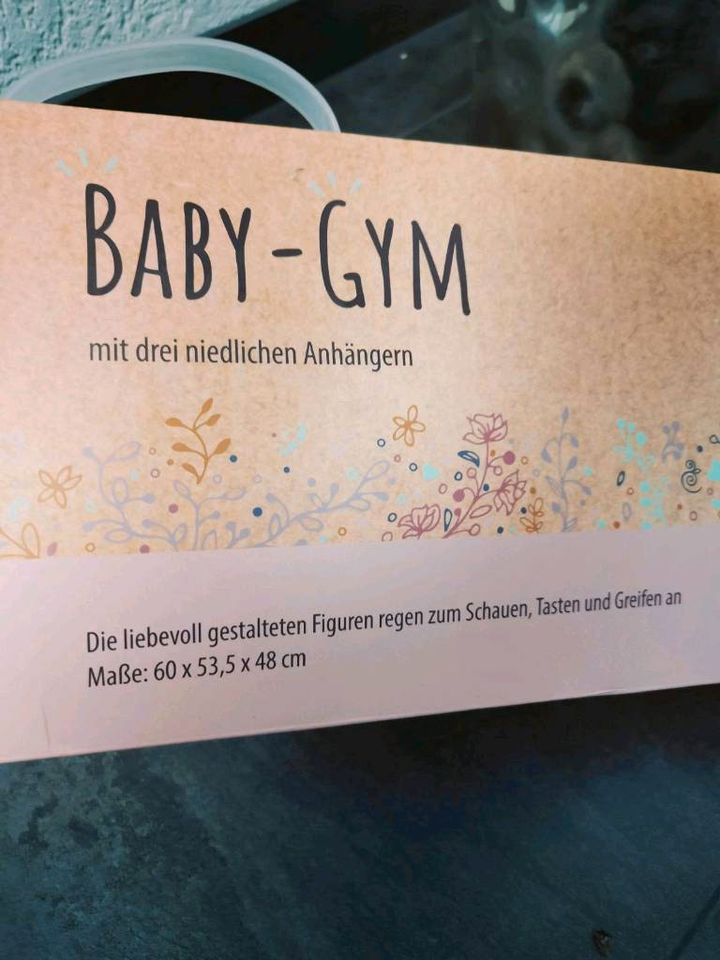 Baby-Gym Spielbogen aus Holz mit Anhängern in Kassel