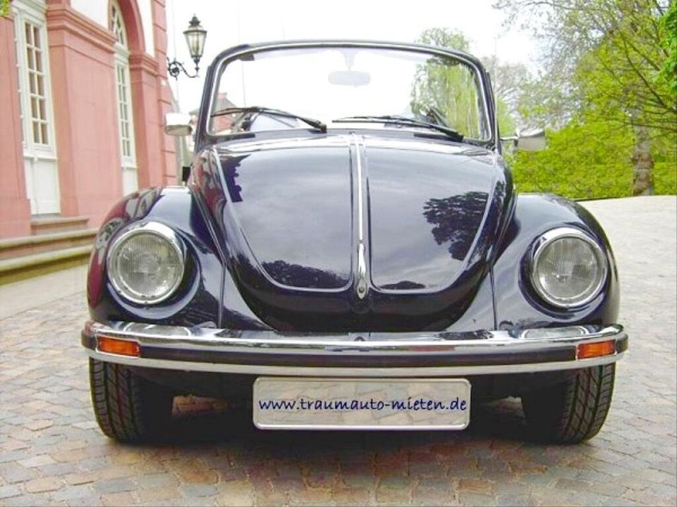 Oldtimer / VW Käfer Cabrio als Hochzeitsauto mit Chauffeur mieten in Wiesbaden