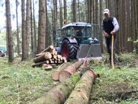 Waldarbeit Sturmholz Durchforstung Lohnarbeit Bayern - Marktoberdorf Vorschau