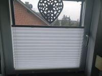 Rollos Plissee Fenster Nordrhein-Westfalen - Krefeld Vorschau