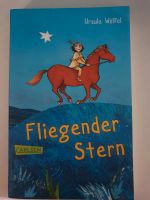 Buch "Fliegender Stern" Niedersachsen - Langenhagen Vorschau