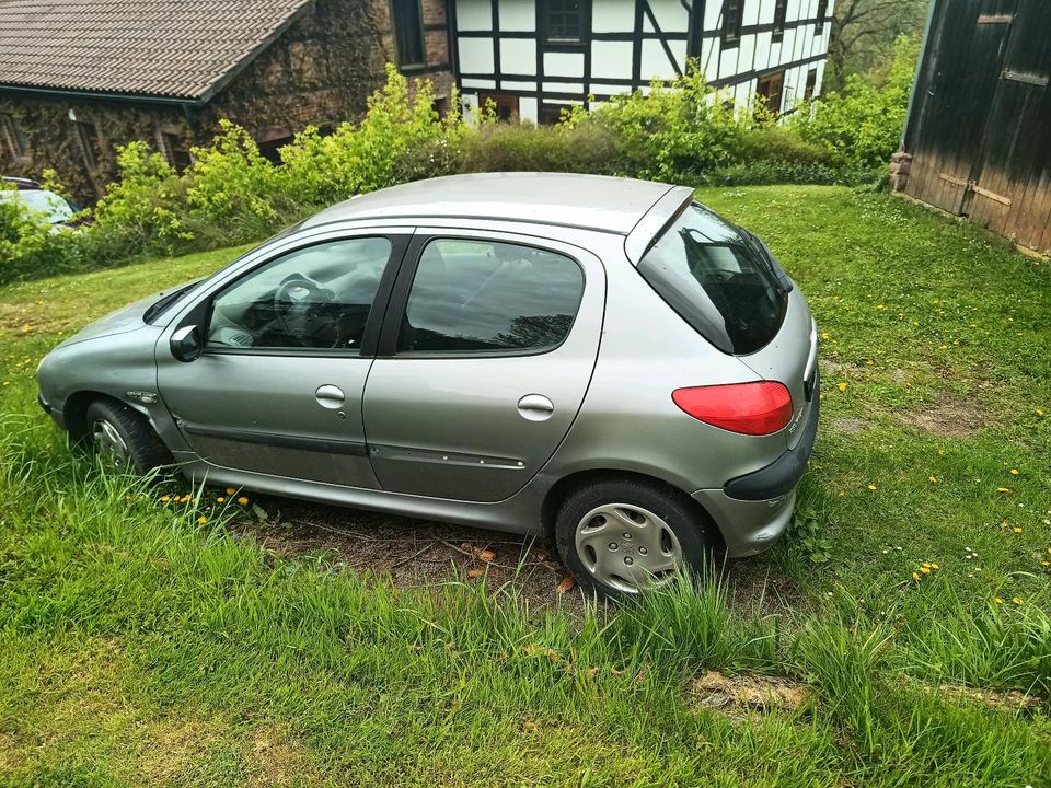 Peugeot 206 in Bevern