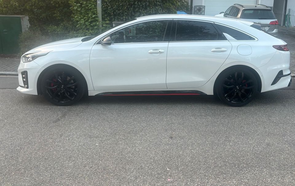 Kia ProCeed GT in Straubing