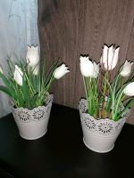 2x weiße Tulpen mit Übertopf grau Niedersachsen - Hardegsen Vorschau