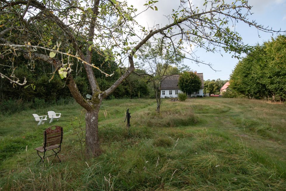 Top-saniertes Bauernhaus, Pferdestall & Koppel 60.000 m² in Luckow (bei Torgelow)