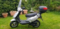 Pesasus Motorrad, Mofa, 45km/h Nordrhein-Westfalen - Recklinghausen Vorschau