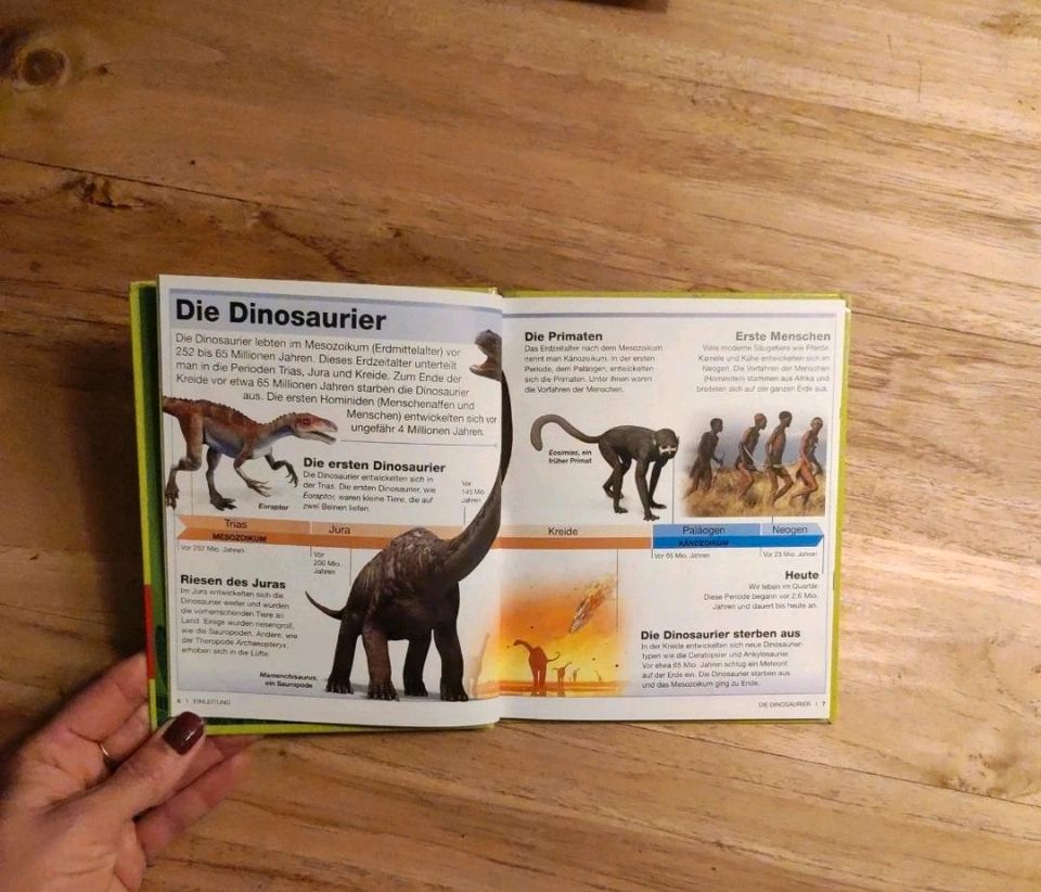 Buch: Dinosaurier, mit Gratis Reality App in Aschau am Inn