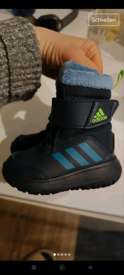 Adidas Boots neu Kinder in Halle (Westfalen)