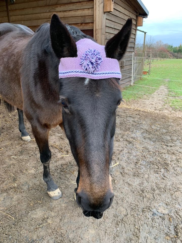 Pudelmütze Bommelmütze Strickmütze für Pferd & Pony in Bösleben-Wüllersleben