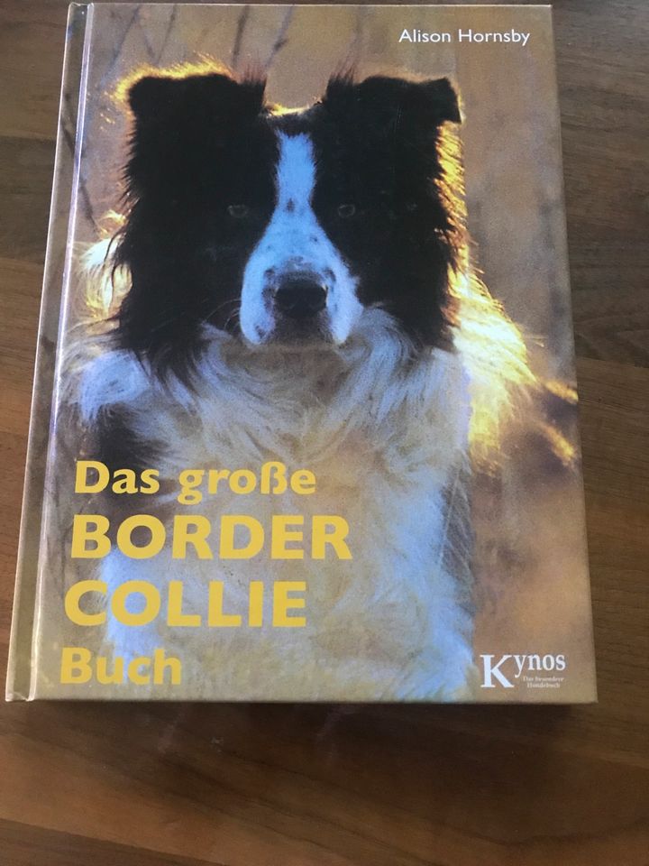 Das große Border Collie Buch von Alison Hornsby in Ennigerloh
