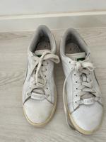 Trapstar Puma 40,5 München - Untergiesing-Harlaching Vorschau