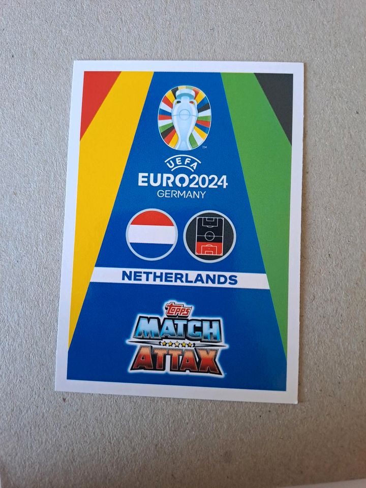 Virgil van Dijk / UEFA Euro 2024 Germany Card in Bischofferode