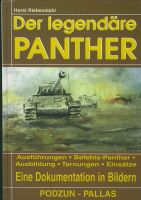 Panther Kampfpanzer Ausführungen Einsätze Technik Herzogtum Lauenburg - Mölln Vorschau