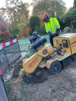 Baumstumpf entfernen Wurzel fräsen Niedersachsen - Hagen am Teutoburger Wald Vorschau