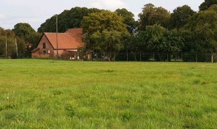 Landhaus, Resthof, Liebhaberobjekt, Pferdehof, Bauernhof von 1886 in Wittenburg