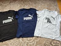 3 Puma Shirts Gr. XL/ 42 Hessen - Kassel Vorschau