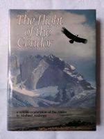 The flight of the Condor von Michael Andrews Frankfurt am Main - Ostend Vorschau