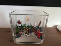 Aquarium Kinder Deko Aquarium Glas Nordrhein-Westfalen - Hennef (Sieg) Vorschau