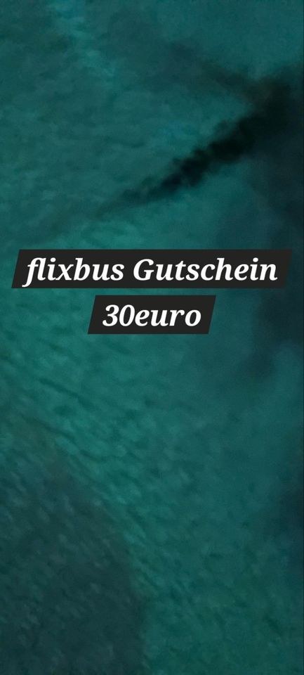 Flix Bus Gutschein in Braunschweig