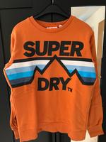 Superdry Sweater Orange L Bayern - Frensdorf Vorschau