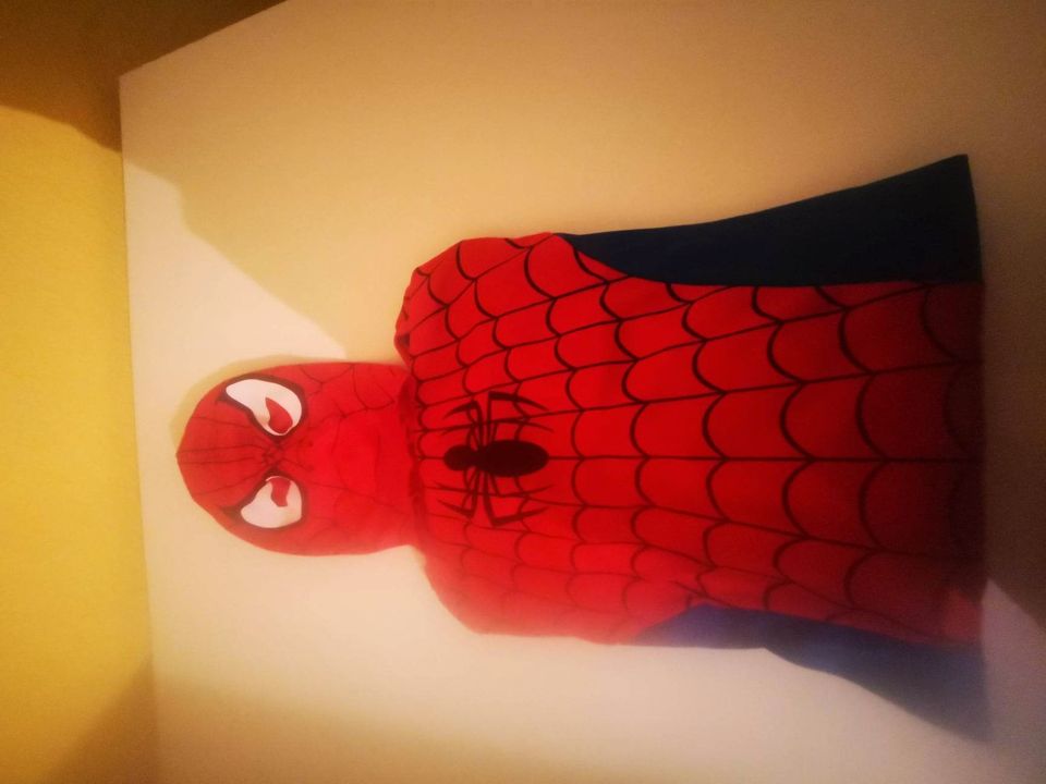 Spiderman-Kostüm und Löwenumhang in Hanau