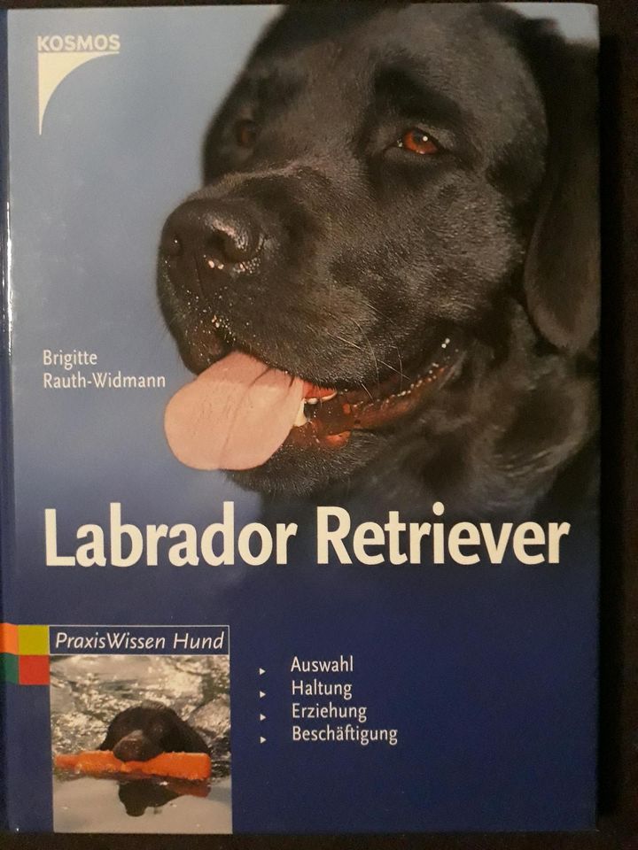 Hundebuch Labrador Retriever in Reichshof