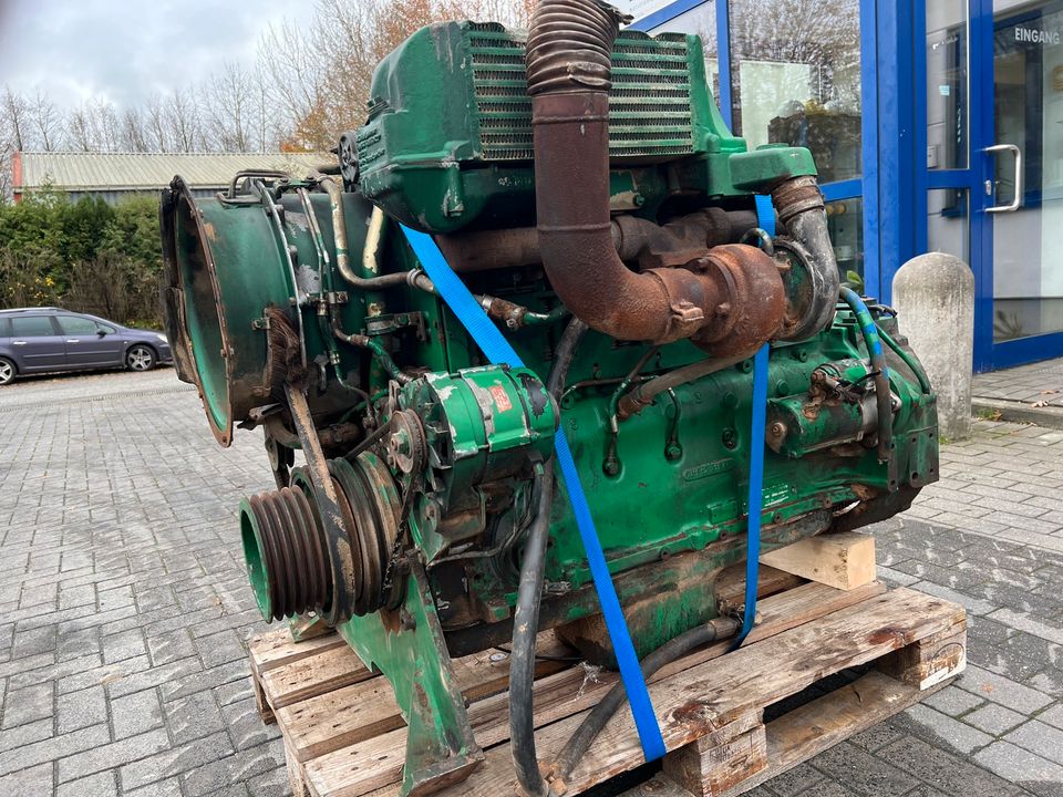 Deutz Motor BF6L913C , Bagger , Radlader , Baumaschinen Industrie in Dänischenhagen