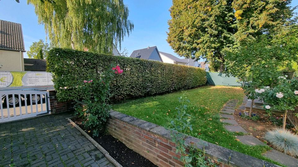 Heckenschnitt Hecke Schneiden Baumfällung Gartenpflege Rasenmähen in Bonn