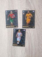 Match Attax Brandenburg - Rheinsberg Vorschau