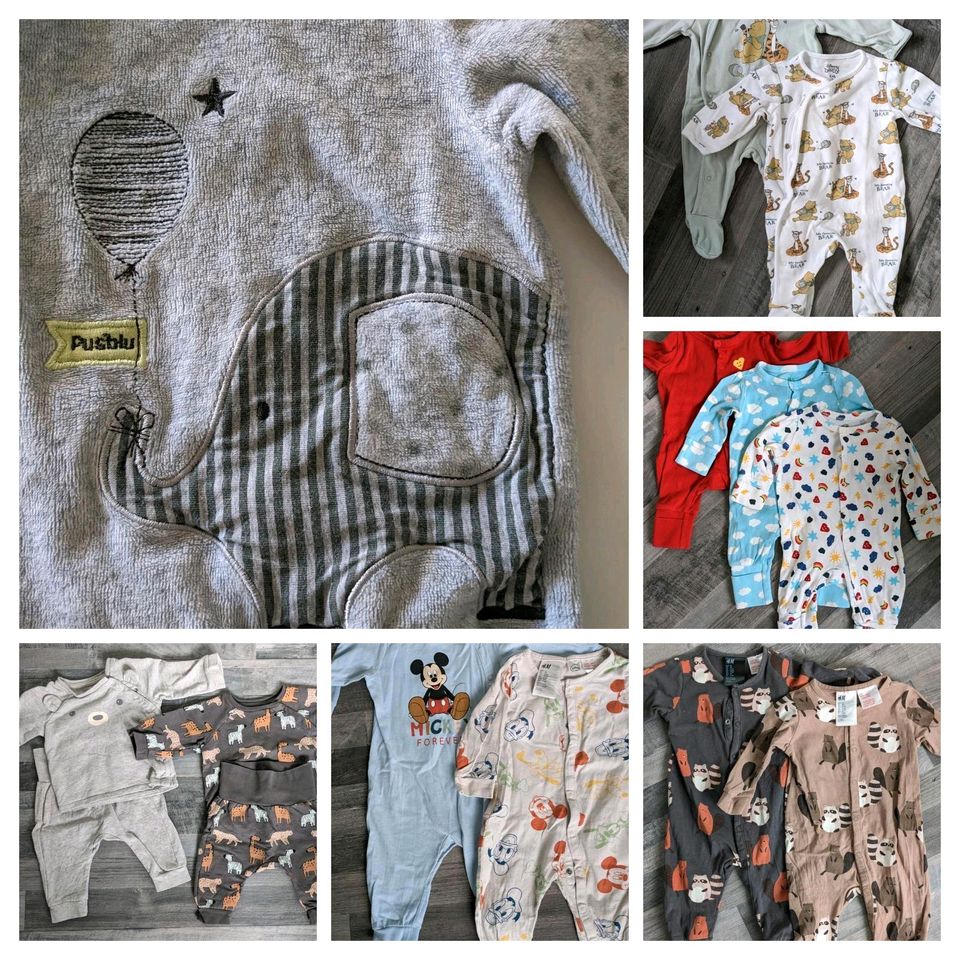 Babykleidung 50/56 - 68: H&M, Steiff, Alana, Pusblu, Disney... in Werl