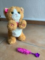 FurReal & Friends Daisy, mein verspieltes Kätzchen Nordrhein-Westfalen - Düren Vorschau