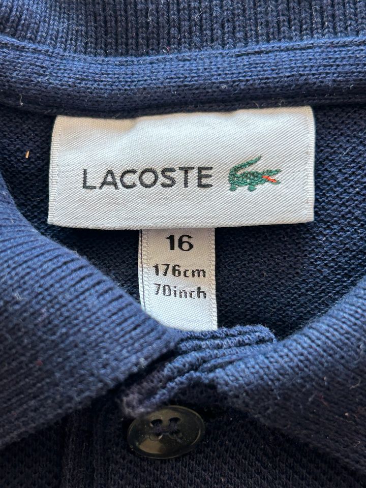 Lacoste Kinder Poloshirt Langarm Gr 16 Jahre/176cm in Berlin