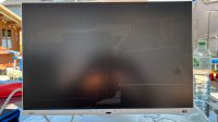 Fujitsu B2410WE mit Displayschaden Nordrhein-Westfalen - Gelsenkirchen Vorschau