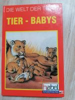 Kinderbuch die Welt der Tiere Tier Babys Kinder Serie habel Rheinland-Pfalz - Pirmasens Vorschau