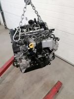 Motor Komplett AUDI VW SKODA SEAT DFUA 2.0 TDI 60.000km 12 Monate Brandenburg - Küstriner Vorland Vorschau