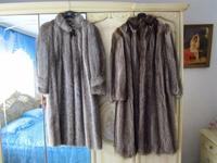 Damenpelze ,Waschbär, Nutria, Größe L - XL 40 - 42 Hessen - Oberursel (Taunus) Vorschau