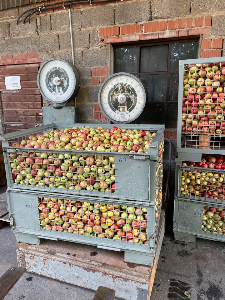 ❌ APFELSAFT Direktsaft Bag in Box Quittensaft Traubensaft in Gräfendorf