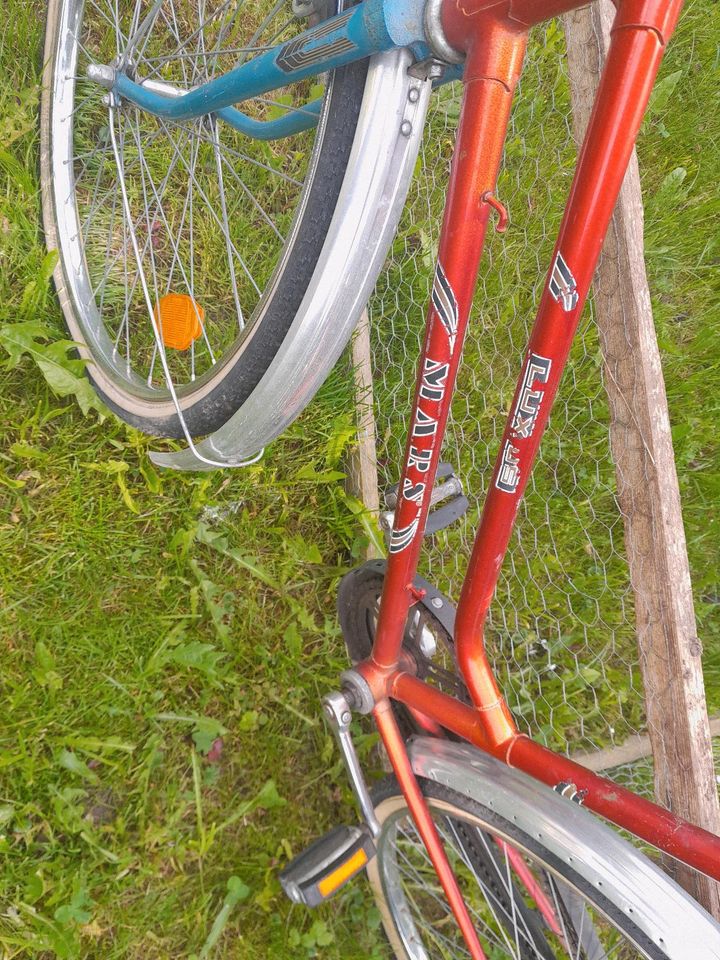 Damen-Fahrrad. in Marktoberdorf