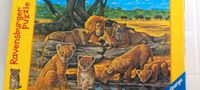 ravensburger puzzle, schmidt, ab 5 jahre, löwenmotiv, afrika Thüringen - Erfurt Vorschau