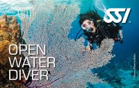 VIP Tauchkurs OWD Open Water Diver werden Sachsen-Anhalt - Bernburg (Saale) Vorschau