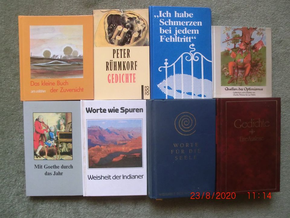 Theodor Storm:  2 antiquarische Bücher, ab 1,00 € in Neuss