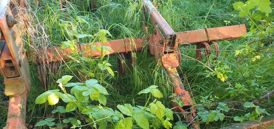 Fricke Schwergrubber 11 Meißelschaare mit Flachstabwalze und Stri in Schöneck