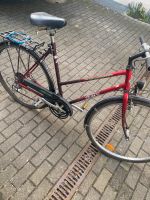 Damen Fahrrad Baden-Württemberg - Vaihingen an der Enz Vorschau