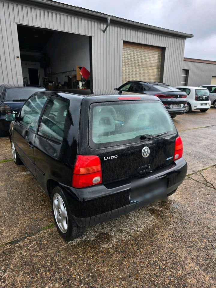 vw lupo bj 2001 TüV bis juni 2026 in Bad Iburg