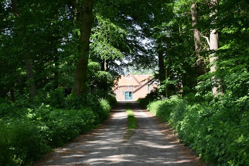 Repräsentative Hofanlage mit Nebengebäuden und ca. 17,5 ha. in traumhafter Alleinlage in Twistringen